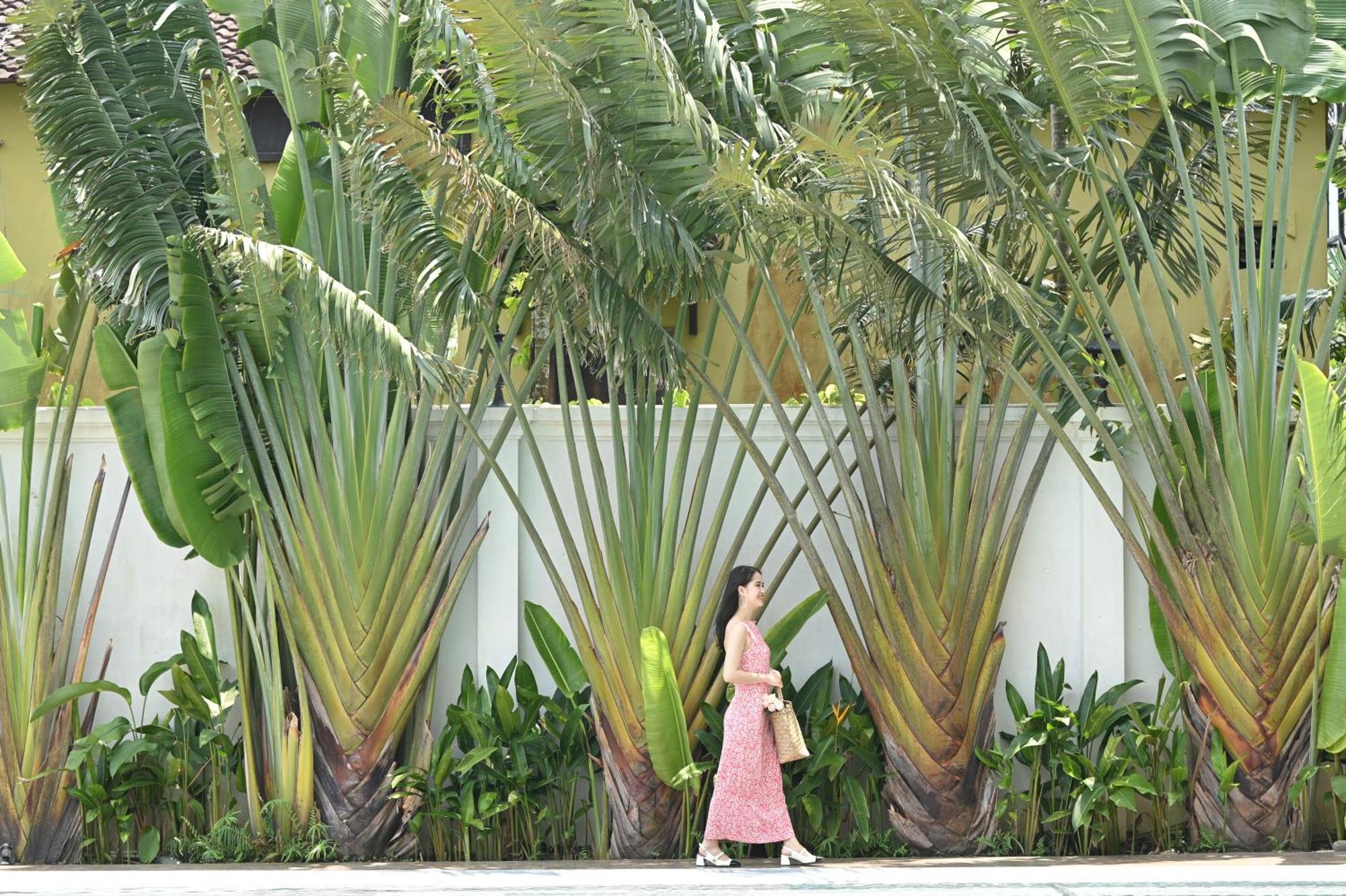 Shining Riverside Hoi An Boutique & Spa 外观 照片